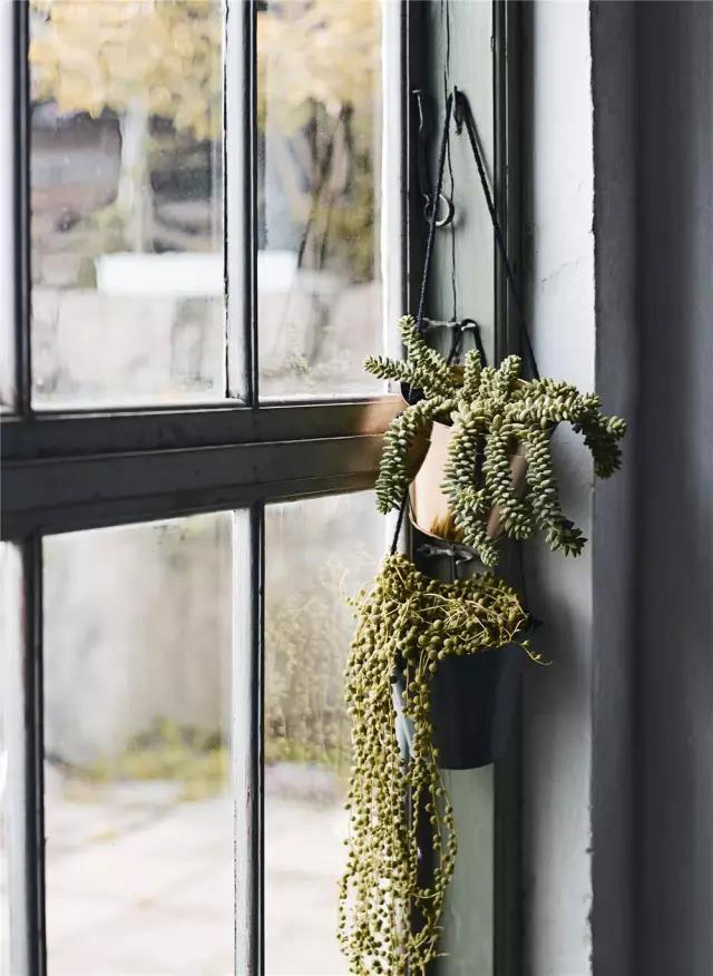 家庭裝修綠植擺設搭配